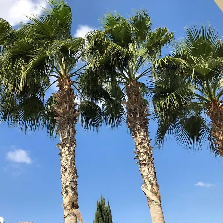 Ponderosa * Ayia Napa