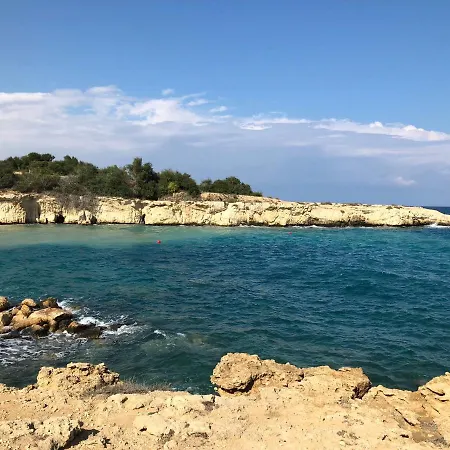 Ponderosa * Ayia Napa